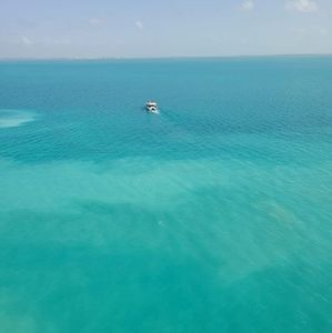 Meet your Posher, Sharyn